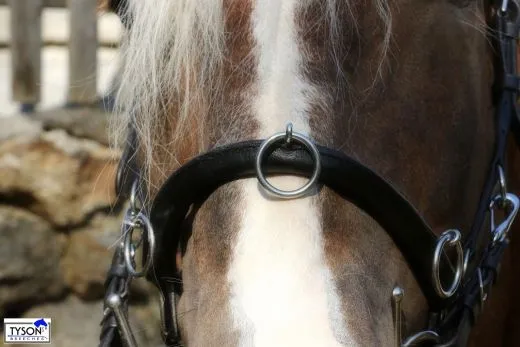 Leder Kappzaum Pony VB WB ergonomisch geformt + Gebiss Riemchen KappGH Zaum ab 49