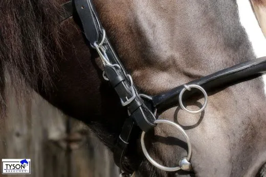 Leder Kappzaum Pony VB WB ergonomisch geformt + Gebiss Riemchen KappGH Zaum ab 49