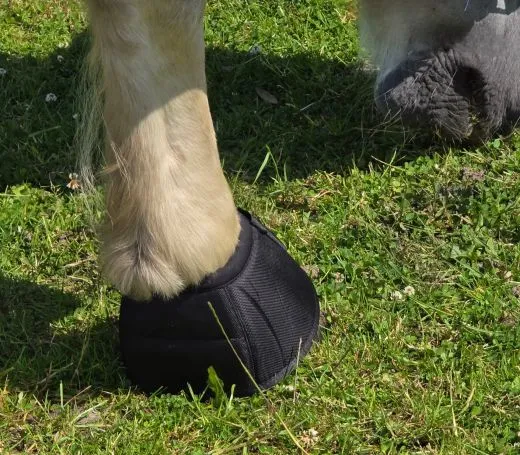 Hufglocken X Full bis 4 XF Neoprene / 1680 Denier Percheron Hohe Reisfestigkeit Kaltblut Glocken �bergr��e Drehstop ergonomisch