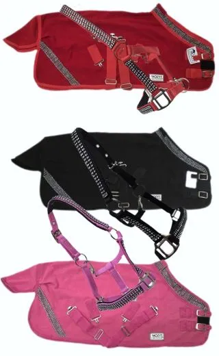 Zoe SET Abschwitzdecke mit Halfter Glitzer Minishetty Shetty 70 80 90 100 cm Rot Schwarz Rosa Glitzerset