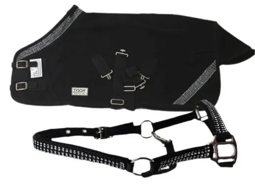 Zoe SET Abschwitzdecke mit Halfter Glitzer Minishetty Shetty 70 80 90 100 cm Rot Schwarz Rosa Glitzerset