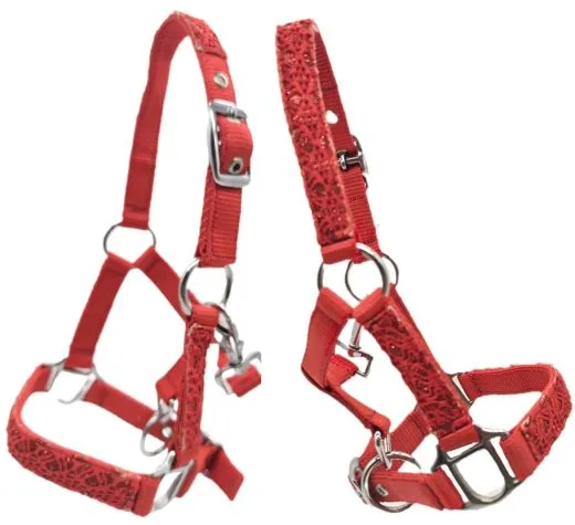 Fancy Halfter Minishetty Shetty Fohlenhalfter Glitzer Rot Glitzerhalfter Nylonhalfter Falabella Minipony