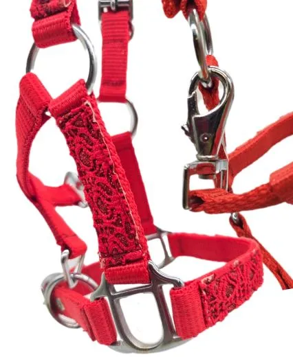 Fancy Halfter Minishetty Shetty Fohlenhalfter Glitzer Rot Glitzerhalfter Nylonhalfter Falabella Minipony