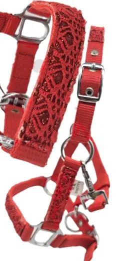 Fancy Halfter Minishetty Shetty Fohlenhalfter Glitzer Rot Glitzerhalfter Nylonhalfter Falabella Minipony