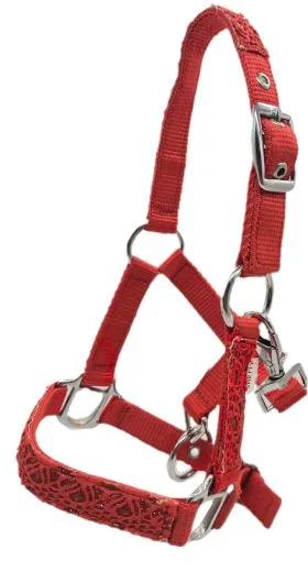 Fancy Halfter Minishetty Shetty Fohlenhalfter Glitzer Rot Glitzerhalfter Nylonhalfter Falabella Minipony