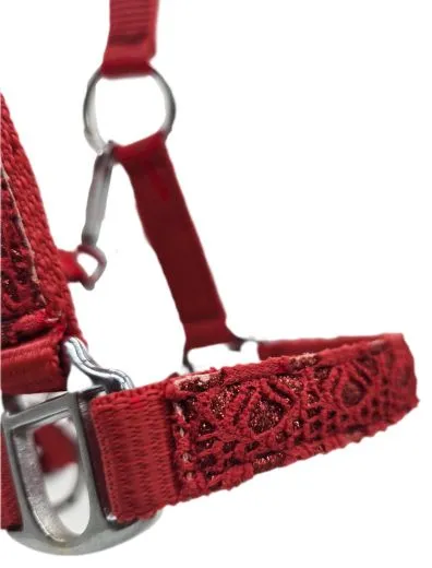 Fancy Halfter Minishetty Shetty Fohlenhalfter Glitzer Rot Glitzerhalfter Nylonhalfter Falabella Minipony