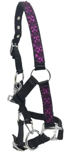 Halfter Fancy MMS Fohlenhalfter Glitzer Lila Fohlen Glitzerhalfter Kleiner Karabiner