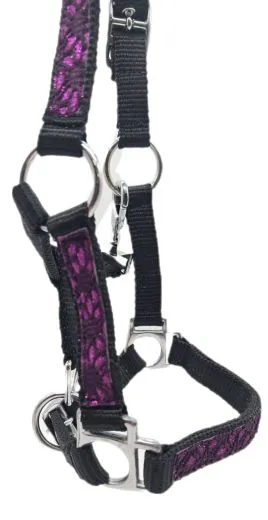 Halfter Fancy MMS Fohlenhalfter Glitzer Lila Fohlen Glitzerhalfter Kleiner Karabiner