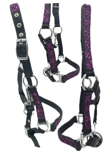 Halfter Fancy MMS Fohlenhalfter Glitzer Lila Fohlen Glitzerhalfter Kleiner Karabiner