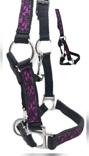 Halfter Fancy MMS Fohlenhalfter Glitzer Lila Fohlen Glitzerhalfter Kleiner Karabiner