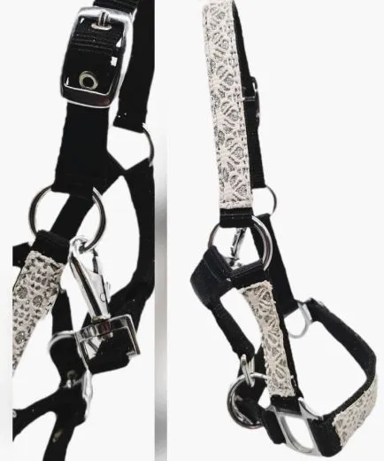 Halfter Fancy MMS MS S Fohlenhalfter Glitzer Schwarz / Wei� Fohlen Glitzerhalfter Kleiner Karabiner