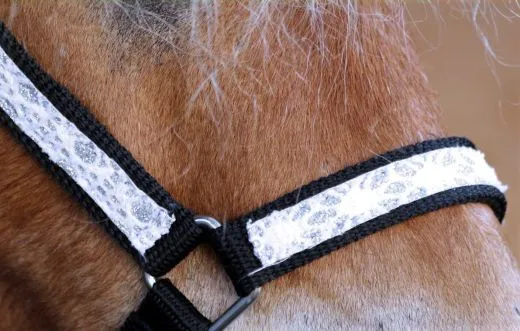 Halfter Fancy MMS MS S Fohlenhalfter Glitzer Schwarz / Wei� Fohlen Glitzerhalfter Kleiner Karabiner