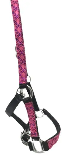 Halfter Fancy Minishetty Shetty Fohlenhalfter Glitzer Schwarz Pink Fohlen Glitzerhalfter Nylonhalfter