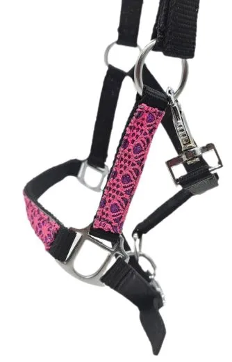 Halfter Fancy Minishetty Shetty Fohlenhalfter Glitzer Schwarz Pink Fohlen Glitzerhalfter Nylonhalfter
