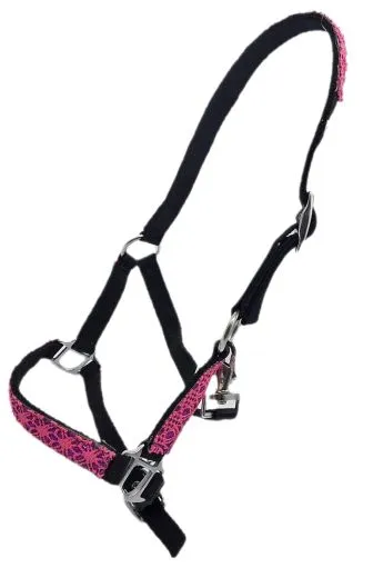 Halfter Fancy Minishetty Shetty Fohlenhalfter Glitzer Schwarz Pink Fohlen Glitzerhalfter Nylonhalfter