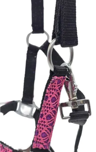Halfter Fancy Minishetty Shetty Fohlenhalfter Glitzer Schwarz Pink Fohlen Glitzerhalfter Nylonhalfter