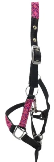 Halfter Fancy Minishetty Shetty Fohlenhalfter Glitzer Schwarz Pink Fohlen Glitzerhalfter Nylonhalfter