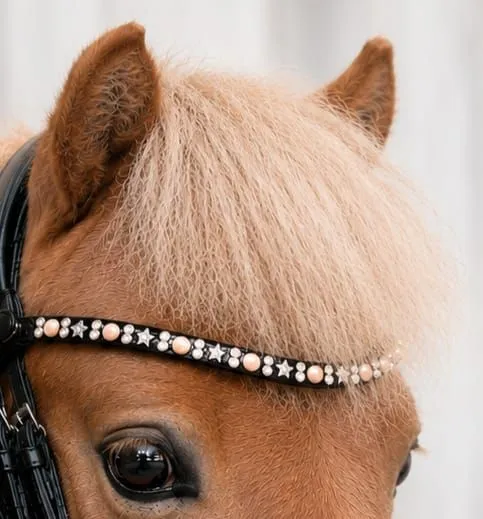 Twinkle Trense Minishetty Shetty Welsh Leder Lack Nasenriemen Glitzer Stirnband Nasenriemen zum entfernen