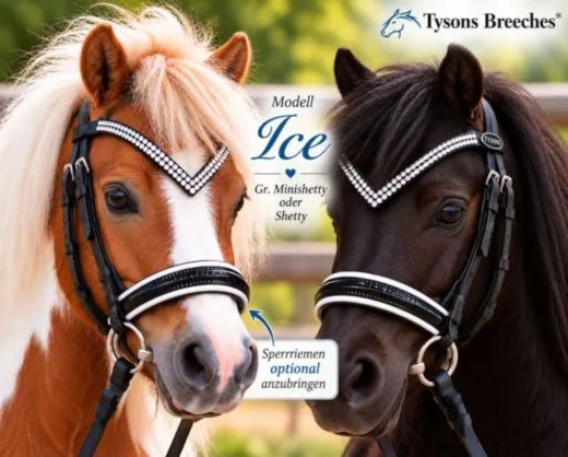Ice Ledertrense Trense Leder V Stirnriemen Silber -Farben Nasenriemen Schwarz Wei� Lack Minishetty Shetty Welsh + - Sperrriemen