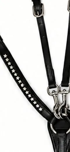 Vorderzeug Stella Sterne Leder Minishetty Shetty Welsh Hilfsz�gel Ledervorderzeug Pony