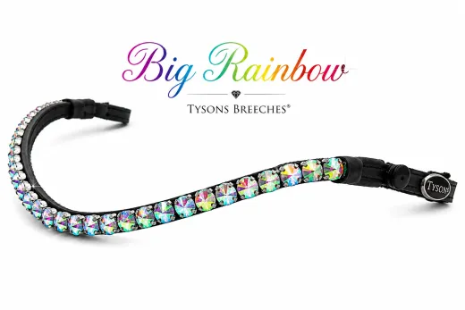 Big Rainbow Stirnriemen Stirnband 45 / 55 cm Kaltblut XF XX Full Leder Schnellverschluss Glitzer gro�e Rivoli Regenbogen