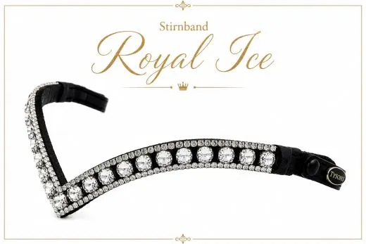 Royal Stirnriemen Kaltblut X Full XX Full Royal Ruby Royal Ice 45 / 55 cm Glitzerstirnband Schnellverschluss-System