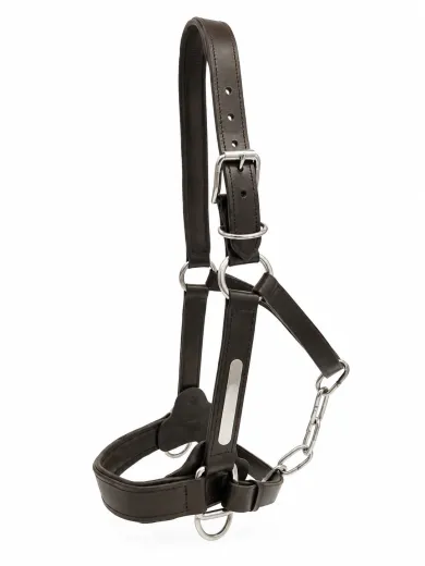 Reithalfter Halfter Titan Leder Gravurplatte Schwarz Kaltblut X Full XX Full Noriker robust breite Ausf�hrung
