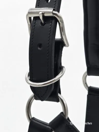 Reithalfter Halfter Titan Leder Gravurplatte Schwarz Kaltblut X Full XX Full Noriker robust breite Ausf�hrung