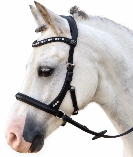 Minishetty Shetty Welsh Sidepull Trense NOVA gebisslose Ledertrense Schnellverschluss-Stirnriemen Gummiz�geln bis x Full
