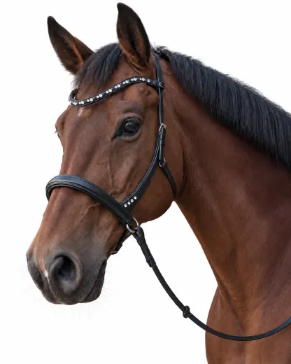 Minishetty Shetty Welsh Sidepull Trense NOVA gebisslose Ledertrense Schnellverschluss-Stirnriemen Gummiz�geln bis x Full