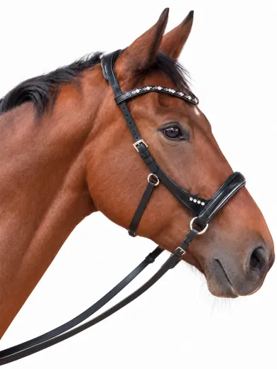 Minishetty Shetty Welsh Sidepull Trense NOVA gebisslose Ledertrense Schnellverschluss-Stirnriemen Gummiz�geln bis x Full