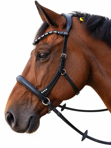 Minishetty Shetty Welsh Sidepull Trense NOVA gebisslose Ledertrense Schnellverschluss-Stirnriemen Gummiz�geln bis x Full