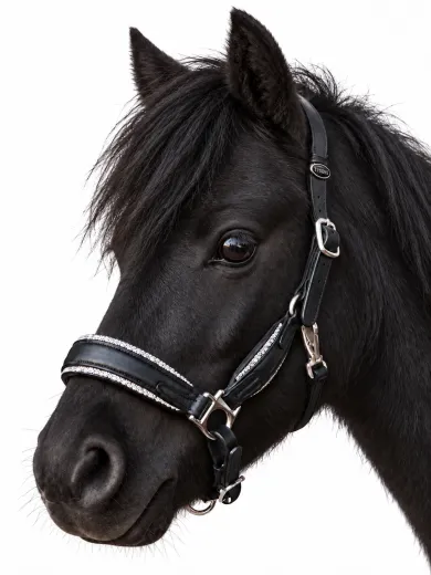 Elara Lederhalfter Glitzer weiches Leder Halfter ergonomisches Genick Minishetty Shetty Welsh Glitzerhalfter