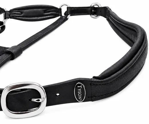 Elara Lederhalfter Glitzer weiches Leder Halfter ergonomisches Genick Minishetty Shetty Welsh Glitzerhalfter