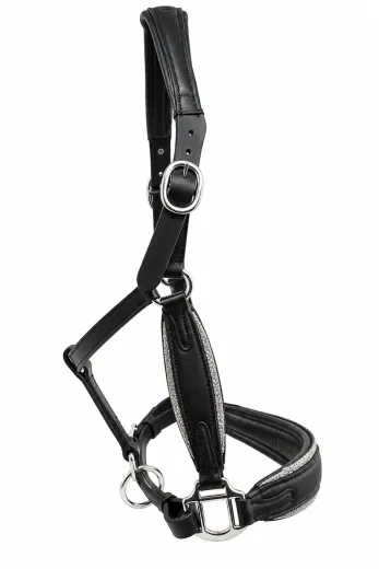 Elara Lederhalfter Glitzer weiches Leder Halfter ergonomisches Genick Minishetty Shetty Welsh Glitzerhalfter