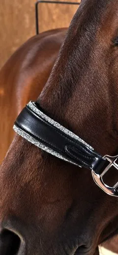 Elara Lederhalfter Glitzer weiches Leder Halfter ergonomisches Genick Minishetty Shetty Welsh Glitzerhalfter