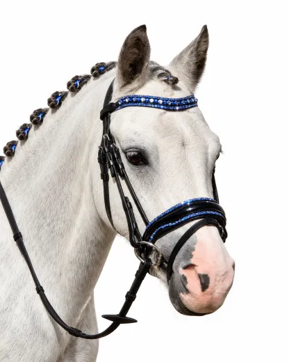 Luna Blau Leder Minishetty Shetty Welsh Ledertrense Leder Glitzertrense MS S Lack Strass