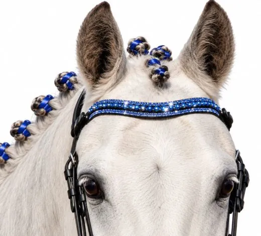 Luna Blau Leder Minishetty Shetty Welsh Ledertrense Leder Glitzertrense MS S Lack Strass