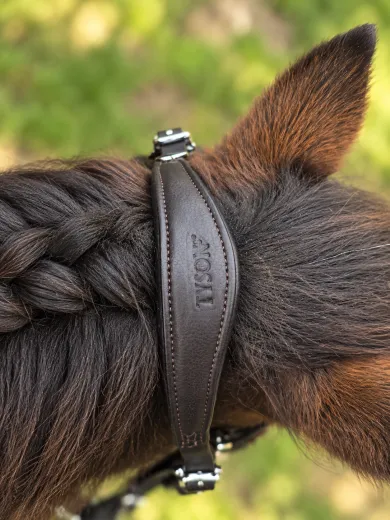 Avena Lederhalfter Leder Halfter Minishetty Shetty Welsh Pony Schwarz Braun ergonomisch - fallen gro� aus-