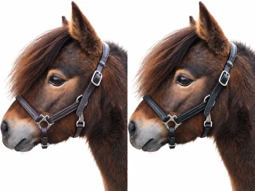 Avena Lederhalfter Leder Halfter Minishetty Shetty Welsh Pony Schwarz Braun ergonomisch - fallen gro� aus-