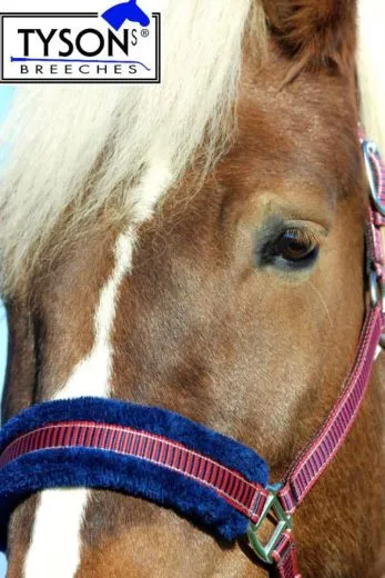 Halfter Fleece Gloria Halfter weich unterlegt Pony VB WB EX FUL