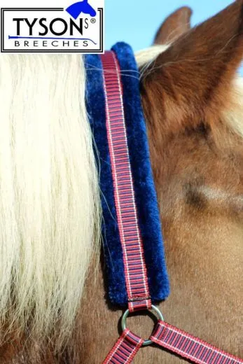 Halfter Fleece Gloria Halfter weich unterlegt Pony VB WB EX FUL