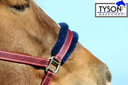 Halfter Fleece Gloria Halfter weich unterlegt Pony VB WB EX FUL