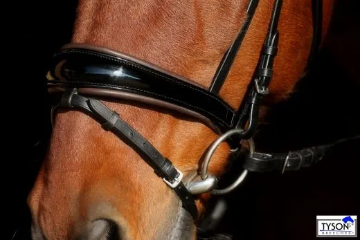 Trense Leder Black Schooki Lack Glitzer Schwarz Braun Cognac NUR NOCH VB WB REST RAUS