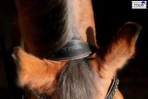 Trense Leder Black Schooki Lack Glitzer Schwarz Braun Cognac NUR NOCH VB WB REST RAUS