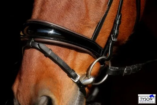 Trense Leder Black Schooki Lack Glitzer Schwarz Braun Cognac NUR NOCH VB WB REST RAUS