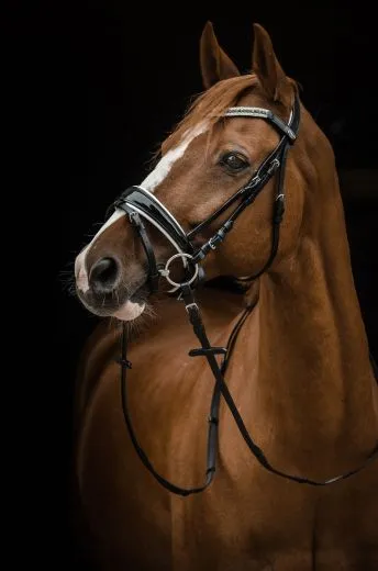 REST RAUS PREIS Trense Black n White Lack Strass Glitzer Schwarz Wei� nur VB Leder wei� unterlegt