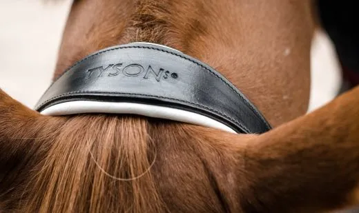 REST RAUS PREIS Trense Black n White Lack Strass Glitzer Schwarz Wei� nur VB Leder wei� unterlegt