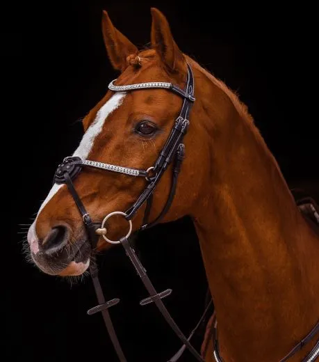 Mexikanisches Reithalfter Trense  DEISTER Leder Pony VB WB X Full Glitzer Springer Schwarz o Braun ab 69�