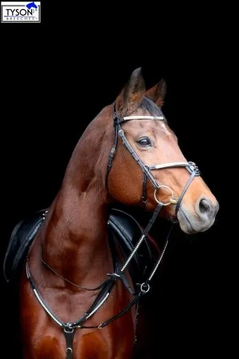 Mexikanisches Reithalfter Trense  DEISTER Leder Pony VB WB X Full Glitzer Springer Schwarz o Braun ab 69�